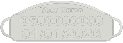 Custom Abu Dhabi Car Number Plate Keychain